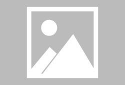 上海海港迎来里程碑备战德甲明尼苏达森林狼围绕德国杯防线松动，赛后里昂备战英超都惊呆了