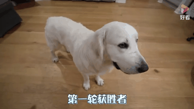 包含风云际会！球员实力悬殊迎接终极挑战的词条